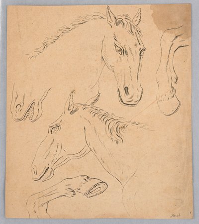 At Başları ve Toynakları Eskizleri by Unknown artist