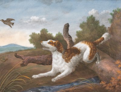Springer: Solda Bir Su Çulluğu Fırlatmak İçin Bir Kütüğün Üzerinden Zıplayan Bir Spaniel by Unknown artist