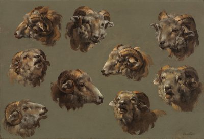 Ram Kafaları Çalışmaları by Unknown artist