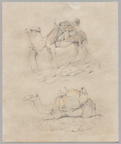 Develerin Çalışması by Unknown artist