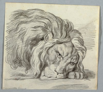 Aslan Çalışması by Unknown artist