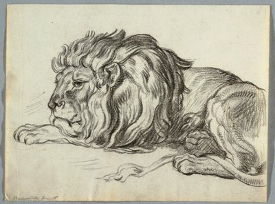 Aslan Çalışması by Unknown artist