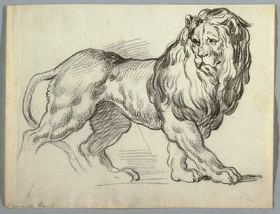 Aslan Çalışması by Unknown artist