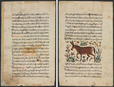 Metin Sayfası, Farsça Nesir (Recto); Khar (Eşek) (Verso) by Unknown artist