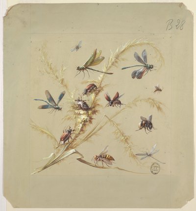 Tekstil veya Duvar Kağıdı Tasarımı: Böcekler by Unknown artist