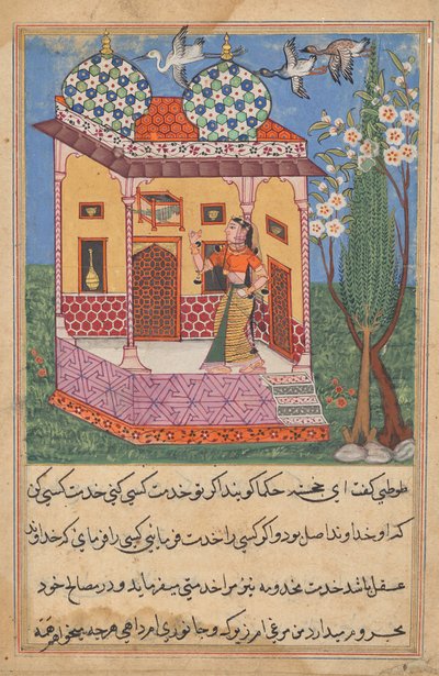 Papağan, Bir Tuti-nama