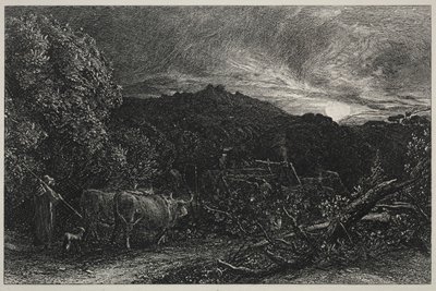 Yorgun Sabancı by Unknown artist