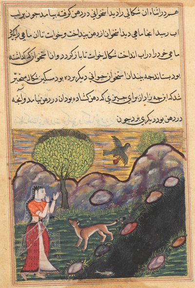 Banaras kralının gelini, bir kuş tarafından yiyeceğinden mahrum bırakılan çakalın bir Tuti-nama