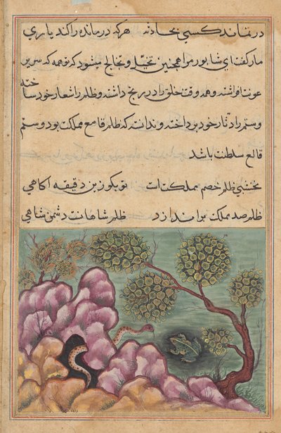 Tahttan indirilen kurbağa Shapur, bir Tuti-nama
