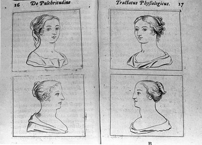 “Tractatus physiologicus de pulchritudine”den alınan farklı kadın profilleri Sayfası, anonim bir rakibe karşı yaratılışın güzelliğini savunan Ernesto Venio