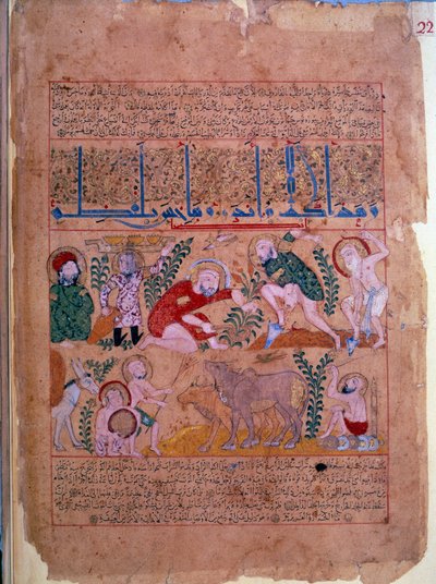 Doktor Andromakhos tarımsal faaliyetleri gözlemler Minyatür “” Panzehir kitabı” 1199 Paris, B.N. by Unknown artist