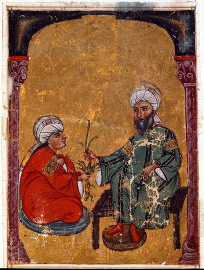 Doktor ve botanikçi Pedanius Dioscoride (Dioscorides) (MS 40-90), öğrencilerinden birine, Irak