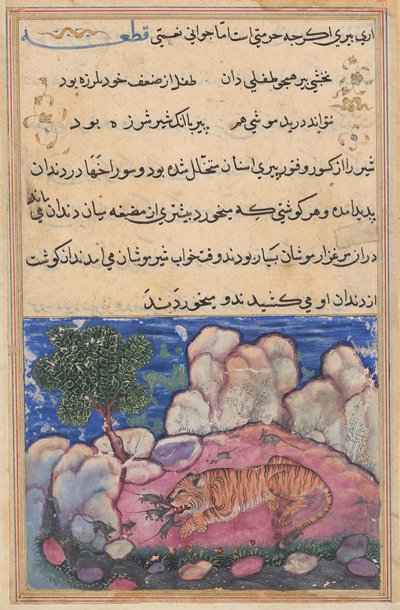 Bir Tuti-nama
