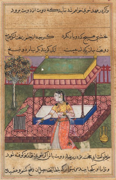 Papağan, bir Tuti-nama