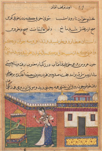 Papağan, otuz ikinci gecenin başında bir Tuti-nama'dan (Bir Papağan Masalları) Khujasta'ya hitap eder. by Unknown artist