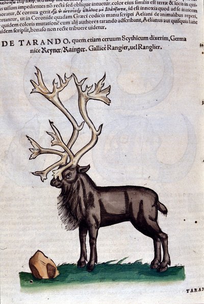 Historia Animalium
