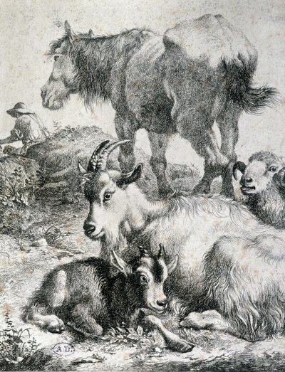 At, keçi, keçi ve koç - gravür by Unknown artist