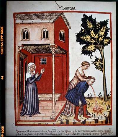 14. yüzyılın “Tacuinum sanitatis” tıp incelemesi: kusma. BN, Viyana. by Unknown artist
