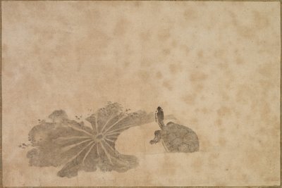 Lotus Göletinde Kaplumbağa by Unknown artist