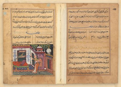 Tuti-Nama (Bir Papağan Masalları) by Unknown artist
