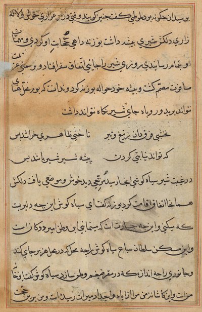 Tuti-Nama (Bir Papağan Masalları) by Unknown artist