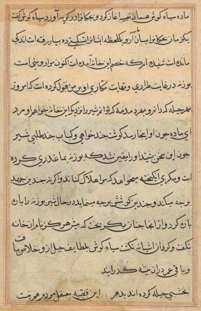 Tuti-Nama (Bir Papağan Masalları) by Unknown artist