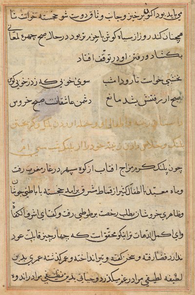 Tuti-Nama (Bir Papağan Masalları) by Unknown artist
