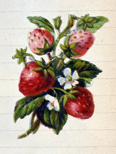 Bilinmeyen resim by Unknown artist