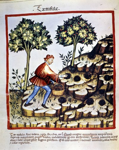 Bilinmeyen resim by Unknown artist