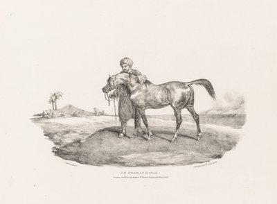 Yaşamdan ve Taştan Çeşitli Konular: Bir Arap Atı by Unknown artist