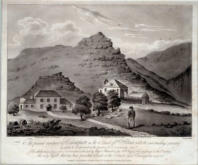 Sainte Helene adasının görünümü (Ile Sainte-Helene) 19. yüzyıl Malmaison gravürü. Kale Müzesi by Unknown artist