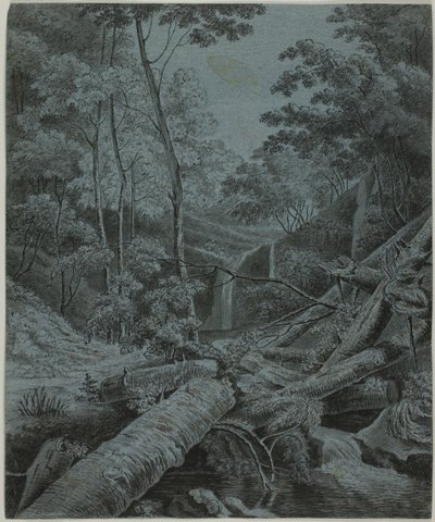 Ormanda Şelale ve Düşen Kütükler by Unknown artist
