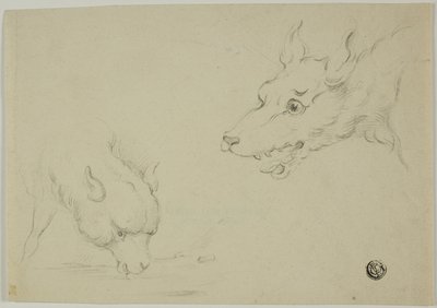 Kurt ve Kuzu by Unknown artist