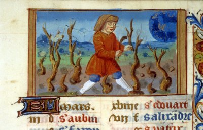 Burç Koç ve ağaç boyutu - Ortaçağ Minyatür (ref. 137, 047r) - Toulouse Belediye Kütüphanesinden izin isteyin (tel: 05 62 27 66 66) by Unknown artist