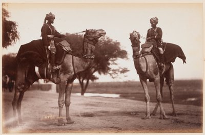 Delhi Tatbikat Kampında Deve Sowars by Unknown photographer