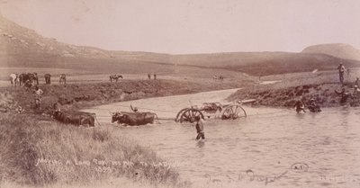 Boer Savaşı sırasında bir nehri geçen Canon by Unknown photographer