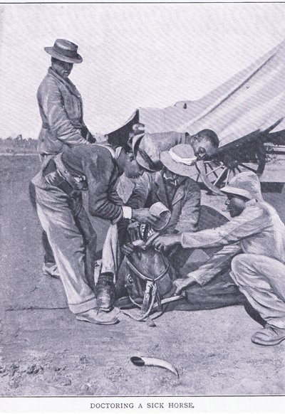 Hasta bir atı doktorlamak, Harmsworth Bros Limited tarafından yayınlanan After Pretoria: The Guerilla War