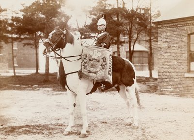 ?Drum-horse, 3. Galler Prensi?nin Ejderha Muhafızları?, 1895 dolayları by Unknown photographer