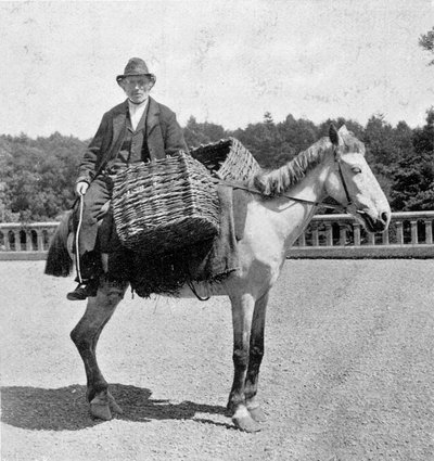 Atında İrlandalı adam (19. yüzyıl). by Unknown photographer