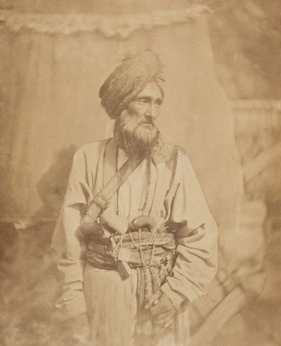 Punjab Düzensiz Süvari