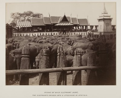 Fotoğraf albümündeki fotoğraf by Unknown photographer