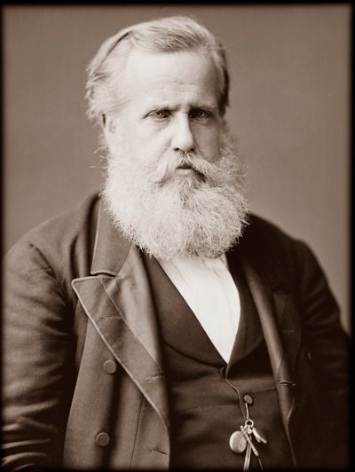 Dom Pedro II (Peter II) (Peter II) (Dom Pedro de Alcantara) (1825-1891), Brezilya İmparatoru