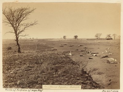 ?xciv alayının sürpriz sahnesi?, 1881 by Unknown