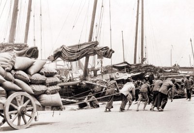 1880 civarında Hong Kong limanı. by Unknown photographer