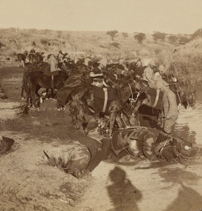 Sulama Topçu atları, Welgelegen, Güney Afrika by Unknown photographer