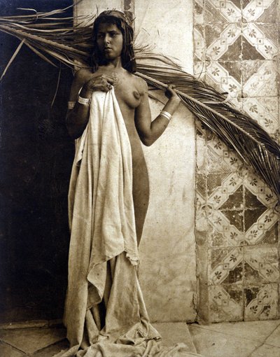 Genç Berberi kadın çıplak poz veriyor. 1890 civarında fotoğrafçılık by Unknown photographer
