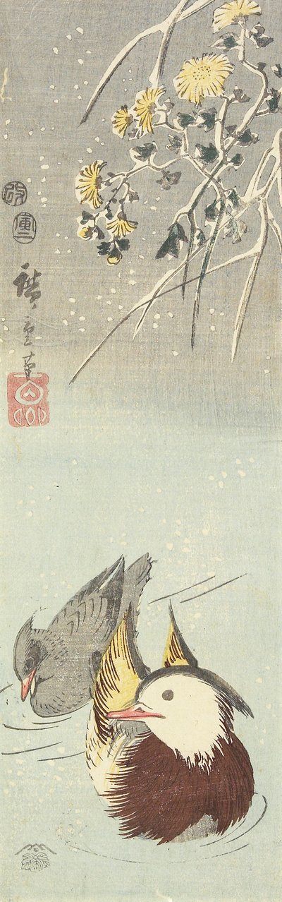 (Krizantem ve Mandarin Ördekleri), Şubat 1854 by Utagawa Hiroshige