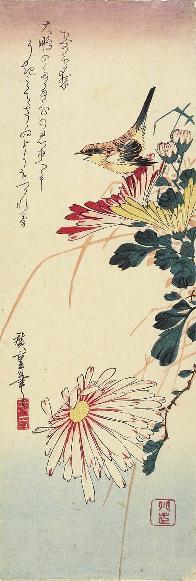 (Krizantemler ve Bir Örümcek), 1830-1858 by Utagawa Hiroshige