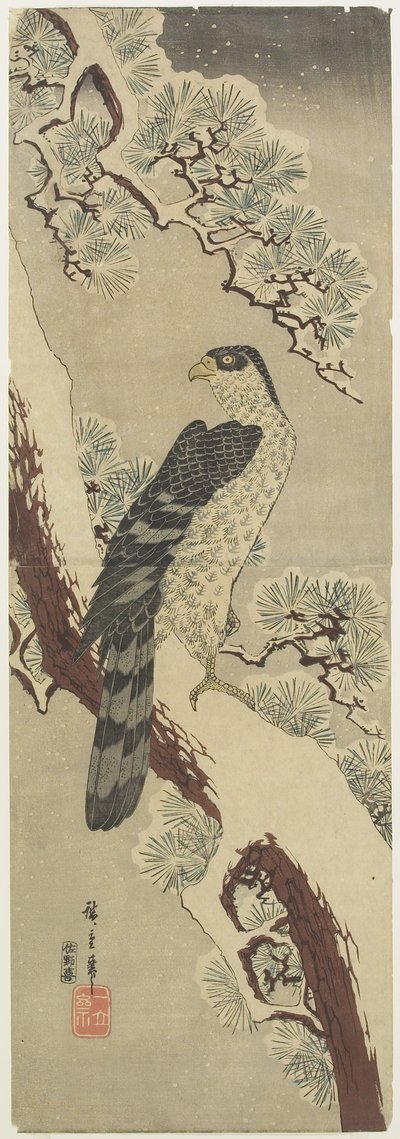 (Çam Dalı Üzerinde Şahin, Kış), 19. yüzyılın başlarında by Utagawa Hiroshige