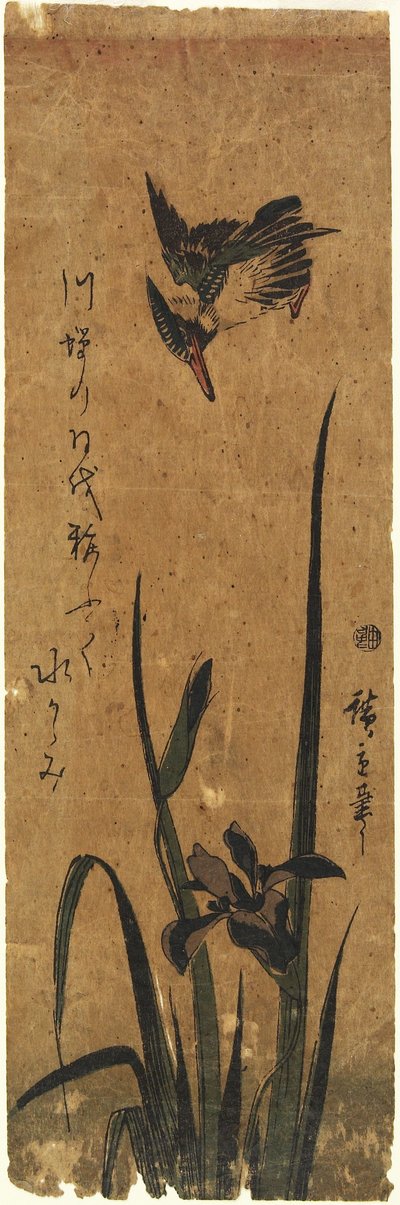(Iris and Kingfisher), 1830-1858 by Utagawa Hiroshige